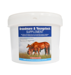 Osmonds Equine Broodmare & Youngstock Supplement