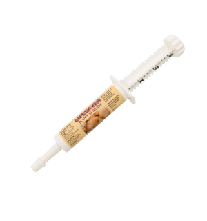 Lifesaver Puppy Syringe 15gm