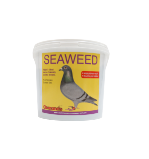 Avian Seaweed